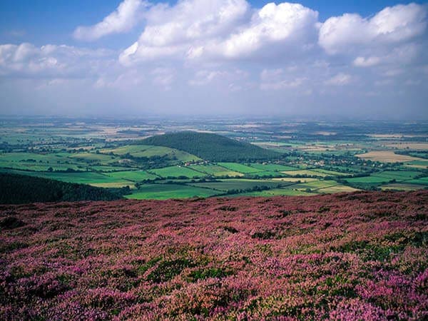 North Yorkshire Moors Image