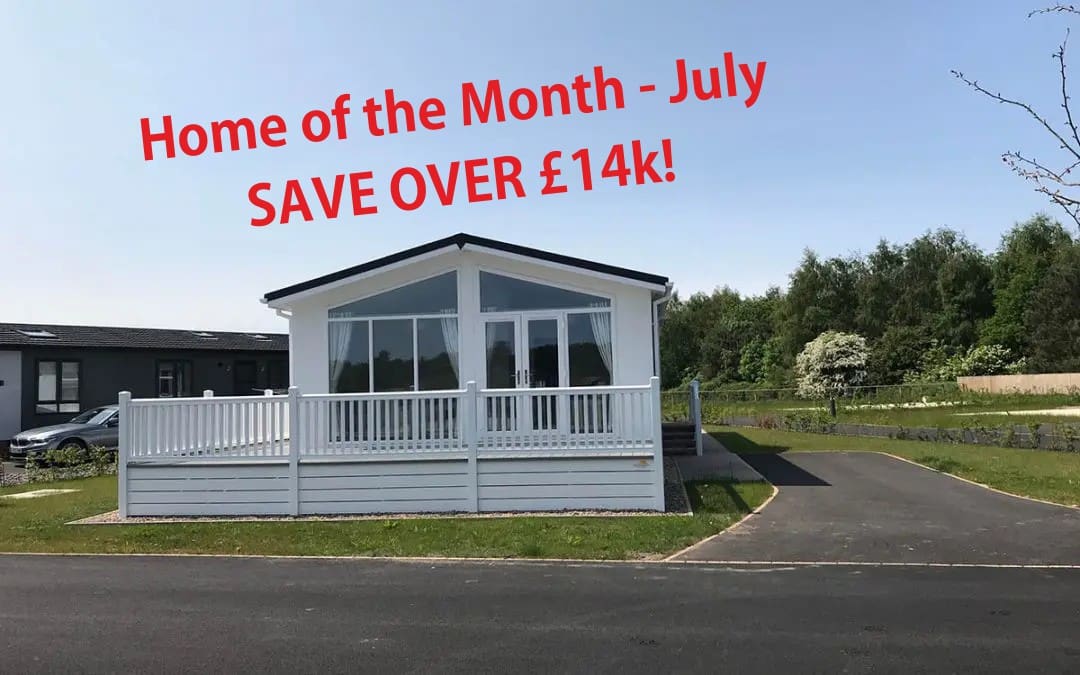 2 Lions Mane – Home of the Month July
