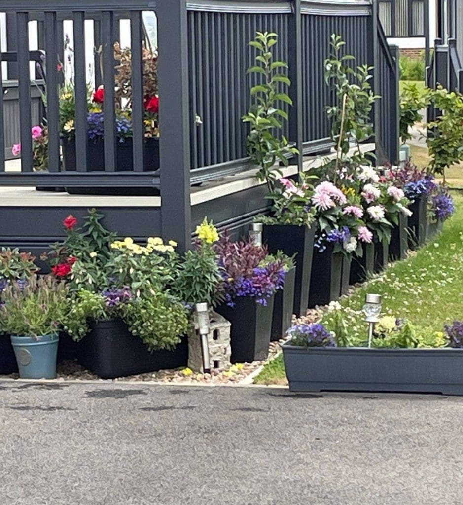 Gardens in bloom at Gateforth Park residential park in North Yorkshire