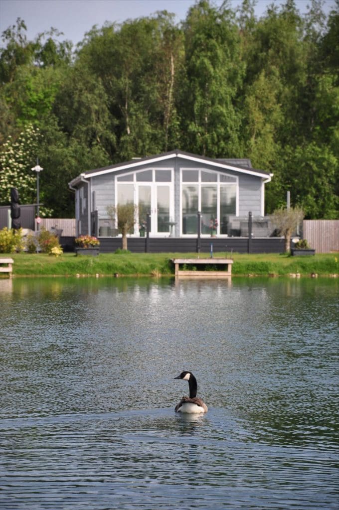 Tranquil retirement living scene with lakeside home and bird on lake