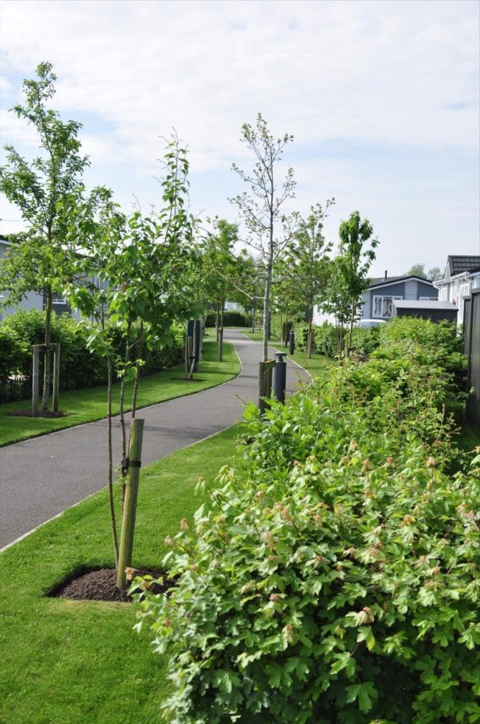 pathway with trees at residential park for retirement living in north yorkshire